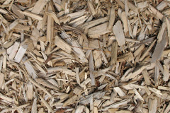 biomass boilers Glan Adda